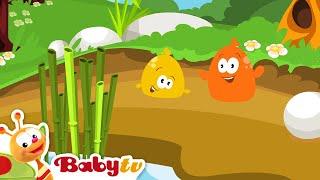 Pitch и Potch | В лесу | BabyTV Pусский