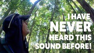 THE STRANGEST SOUND you'll ever hear!!