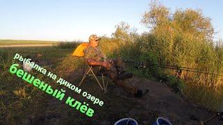 рыбалка 2021 , карась ,полтва окунь, лещ, fishing in Russia wild lake.Eng sub