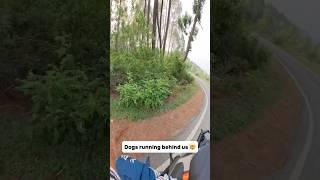 Dog running behind us 