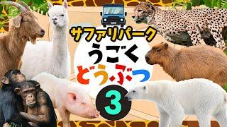 【サファリパーク！動く動物◆3】どうぶつの名前を覚えよう！ホッキョクグマ,チーター,アルパカ,サルなどをを紹介するよ！