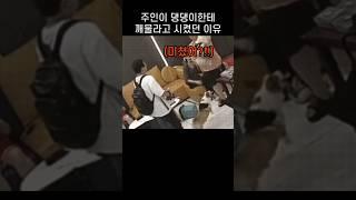 "지금 뭐하는거에요!!.." 깨문 댕댕이 견주가 오히려 큰소리 쳤던 까닭