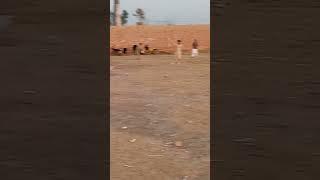 One another good shot from Zeeshan khan#tennisballcricket #cricket #vlogger