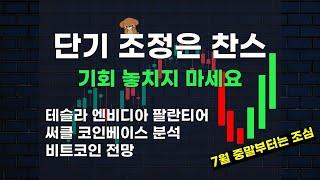 단기 조정은 찬스입니다, 테슬라 엔비디아 팔란티어 비트코인 써클 분석