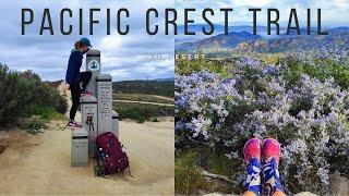 A New Beginning: Wildflowers & First Steps on the Pacific Crest Trail | Part 1