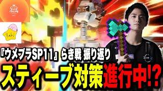 【ウメブラSP11】実はザクレイのスティーブ対策は進んでる！？次に当たるならピット？ロボット？【スマブラSP】