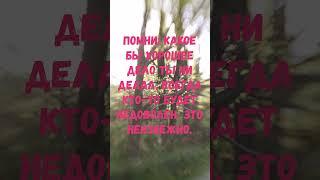 Помни, всегда кто-то будет не доволен - Мудрость #мудрость #всегдактотобудетнедоволен #цитаты