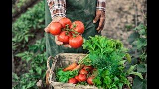 Combatting Food Insecurity