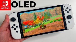 Zelda: Breath of the Wild OLED Nintendo Switch Gameplay