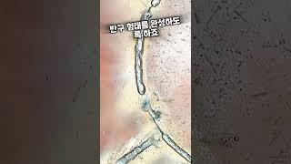 금속판 사들이는 파키스탄 대기업