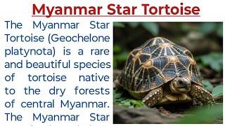 myanmar star tortoise essay in english | myanmar star tortoise essay | Endangered Species Essay