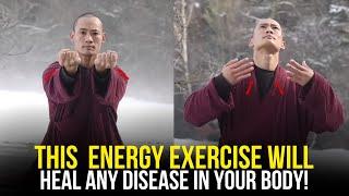 "This Exercise Will Heal You Completely From Inside" | Qigong Technique | Master Shi Heng Yi