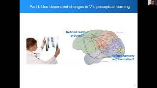 Prof Wu Li on "Learning-induced changes in visual cortical processing"