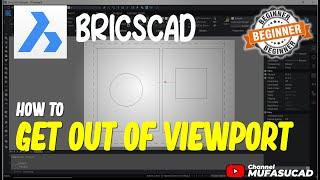 How To Get Out Of Viewport BricsCAD