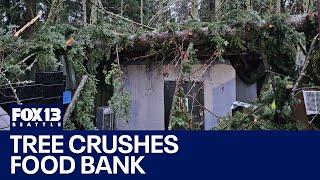 Tree crushes Mill Creek, WA food bank