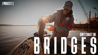 DON'T FORGET THE BRIDGES! // Project E // How to fish a bridge