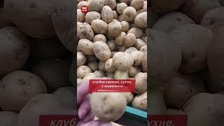 «Золотая» и испорченная: беларусы в ярости из-за цен и качества картошки