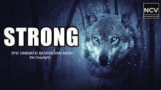 (No Copyright) Strong Epic Cinematic Soundtrack | Grey Wolf