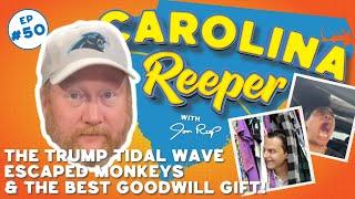 The Trump Tidal Wave, Escaped Monkeys, and the Best Goodwill Gift!