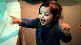 Aquario.MP4