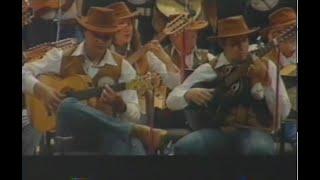 Orquestra Paulistana De Viola Caipira - Viola In Concert (Rede Vida)