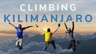 Climbing Kilimanjaro: The Machame Route Experience