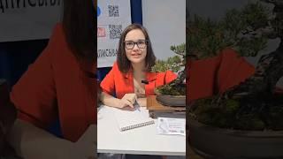 Рецепт отличной выставки бонсай от нашей Студии #bonsai #shorts #выставка #орхидиум @Studio.Bonsai