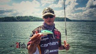 Catch Bass Offshore With Giant Crankbaits