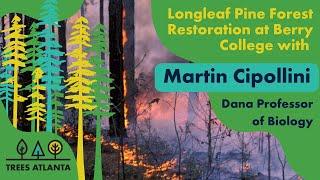 Martin Cipollini: Longleaf Pine Forest Restoration