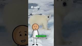 Polar Bears Are Actually Black?? #facts #factshorts #triviatime #amazingfacts #bigfacts #factsdaily