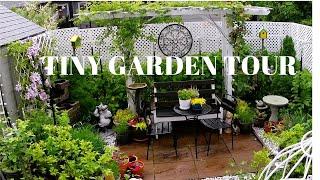 GARDEN TOUR | COME RELAX IN OUR TINY BACKYARD GARDEN #gardening #gardentour #plants #flowers #new