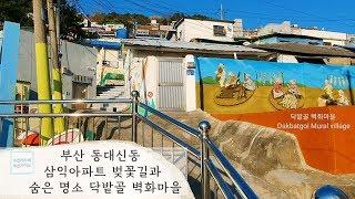 Driving in Busan/Korea/부산 동대신동 삼익아파트 벚꽃길과 숨은 명소 닥밭골 벽화마을 가이드