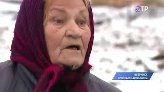 Самое популярное видео среди чиновников Ярославской области