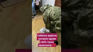 Cобачка радісно зустріла вдома своїх трьох захисників : yana_atoderesi/tiktok