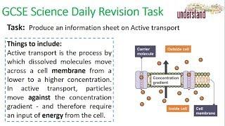 GCSE Science Daily Revision Task 9:  Active Transport