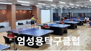 [대구핑퐁TV] 대구 엄성용탁구클럽