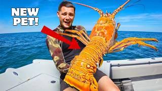 I Found GIANT Lobsters and Kept them as Pets...