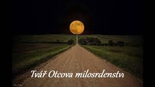 Tvář Otcova milosrdenství-Vojtěch Kodet