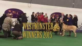 MM Westminster 2015 FINAL