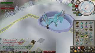 OSRS Consistent 5-7 kills a trip at Vorkath