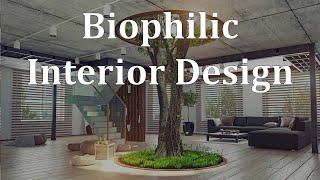 Biophilic Design - Part of New Interior Design YouTube Series!