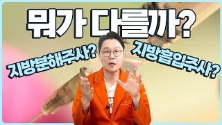 [람스 LAMS] 지방분해주사 vs 지방흡입주사( 지방추출주사,람스) 뭐가 다를까???