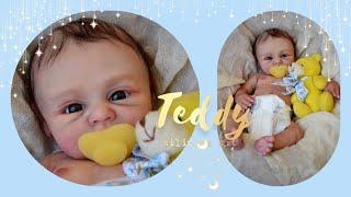 Silicone reborn doll Teddy 13 inches/by Tanya Latashevska