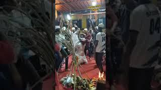 ॐमार्तंड भैरव जागरण गोंधळ पार्टी मुंबई श्री रोहित माळवे.मो. 7039321694            #rohita malve...