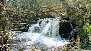 Hallamölla Wasserfall - Rundwanderung in Südschweden