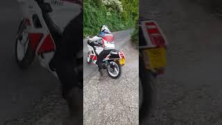 Yamaha 1987 FZR 250...1st run in years