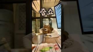니만 입이고, 나는 주댕이가?!