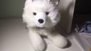 PLUSHIE REVIEW On the Douglas Yuki the Arctic Fox!!!