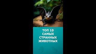 Топ 10 самых странных животных #животные #шортс #топ10 #shorts #комарик #интересное
