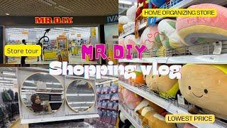 Mr. DIY থেকে low price এ কি কি shopping করলাম️store tour & shopping haul vlog @NowridHasninvlogzz